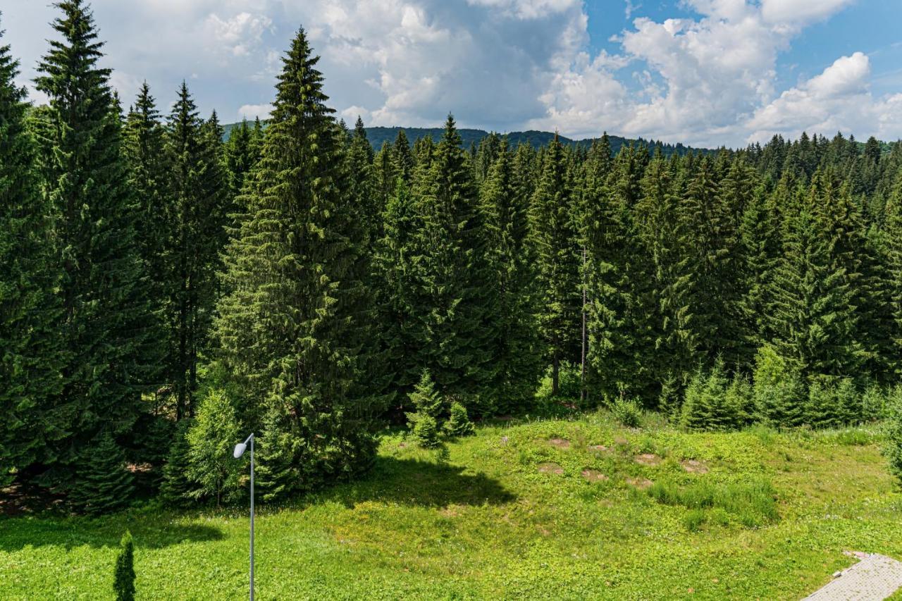 Pine Woods Apartment B35 In Silver Mountain Poiana Braşov Exterior foto